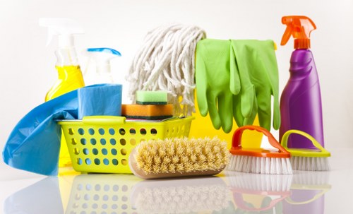 Stain removal supplies arranged for home cleaning