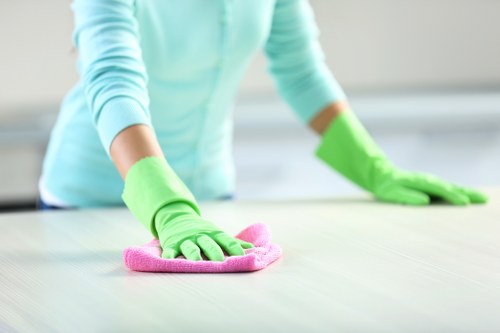 Spot cleaning a stained area rug with gentle care
