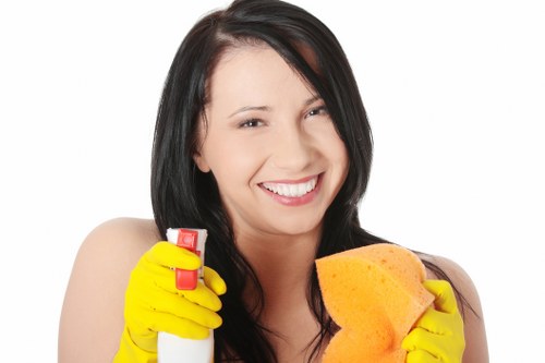 Removing stubborn pet stain odour from upholstery